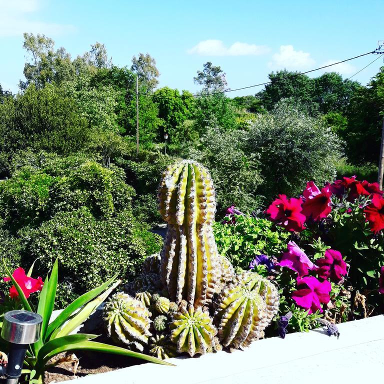 Le Blanc Guest House Дасия Екстериор снимка